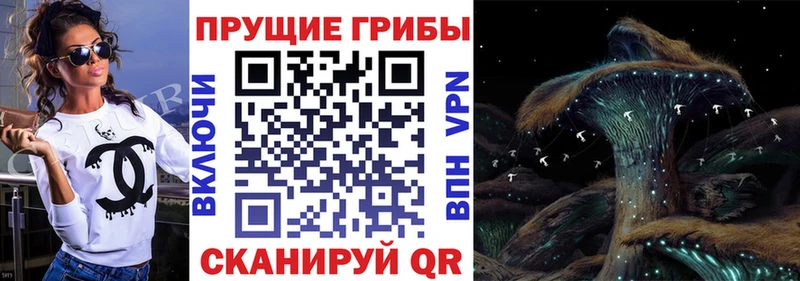 блэк спрут вход  Великие Луки  даркнет состав  купить закладку  Галлюциногенные грибы GOLDEN TEACHER 